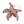 Load image into Gallery viewer, THE STARFISH
