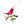Load image into Gallery viewer, THE CARDINAL