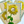 Load image into Gallery viewer, THE SUNFLOWER