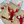 Load image into Gallery viewer, THE LOBSTER
