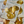 Load image into Gallery viewer, THE SQUIRREL