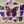 Load image into Gallery viewer, THE BUTTERFLY