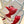 Load image into Gallery viewer, THE RED HUMMINGBIRD