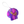 Load image into Gallery viewer, THE SEASHELL