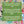 Load image into Gallery viewer, THE STINGRAY