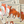 Load image into Gallery viewer, THE FOX