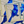 Load image into Gallery viewer, THE BLUE JAY