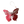 Load image into Gallery viewer, THE BUTTERFLY