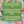 Load image into Gallery viewer, THE MANTA RAY