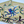 Load image into Gallery viewer, THE OCTOPUS