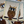 Load image into Gallery viewer, THE OWL