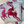 Load image into Gallery viewer, THE REINDEER