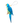 Load image into Gallery viewer, THE PARROT