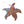 Load image into Gallery viewer, THE STARFISH