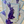 Load image into Gallery viewer, THE RABBIT