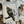 Load image into Gallery viewer, THE HAWK
