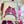 Load image into Gallery viewer, THE KISSING CARDINAL
