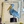 Load image into Gallery viewer, THE PELICAN
