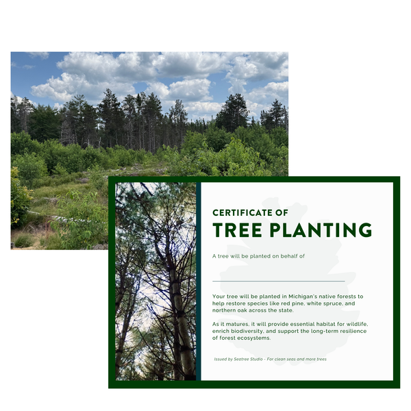 Plant a Tree in Michigan - Impact Certificate